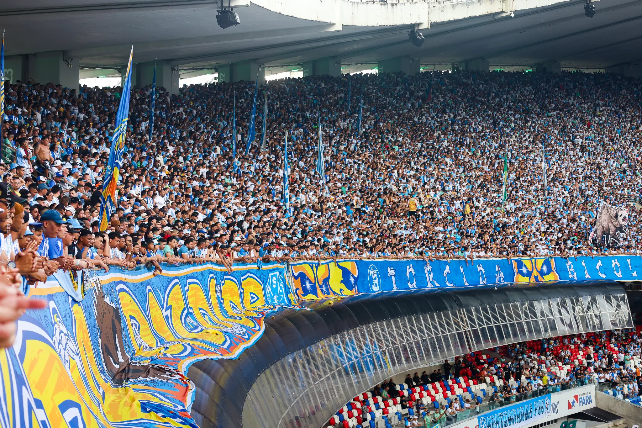 Torcida do Paysandu 6